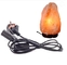Lampe de roche de sel harnais de fil de câble de 25 watts, corde de courant alternatif de 3 fourches